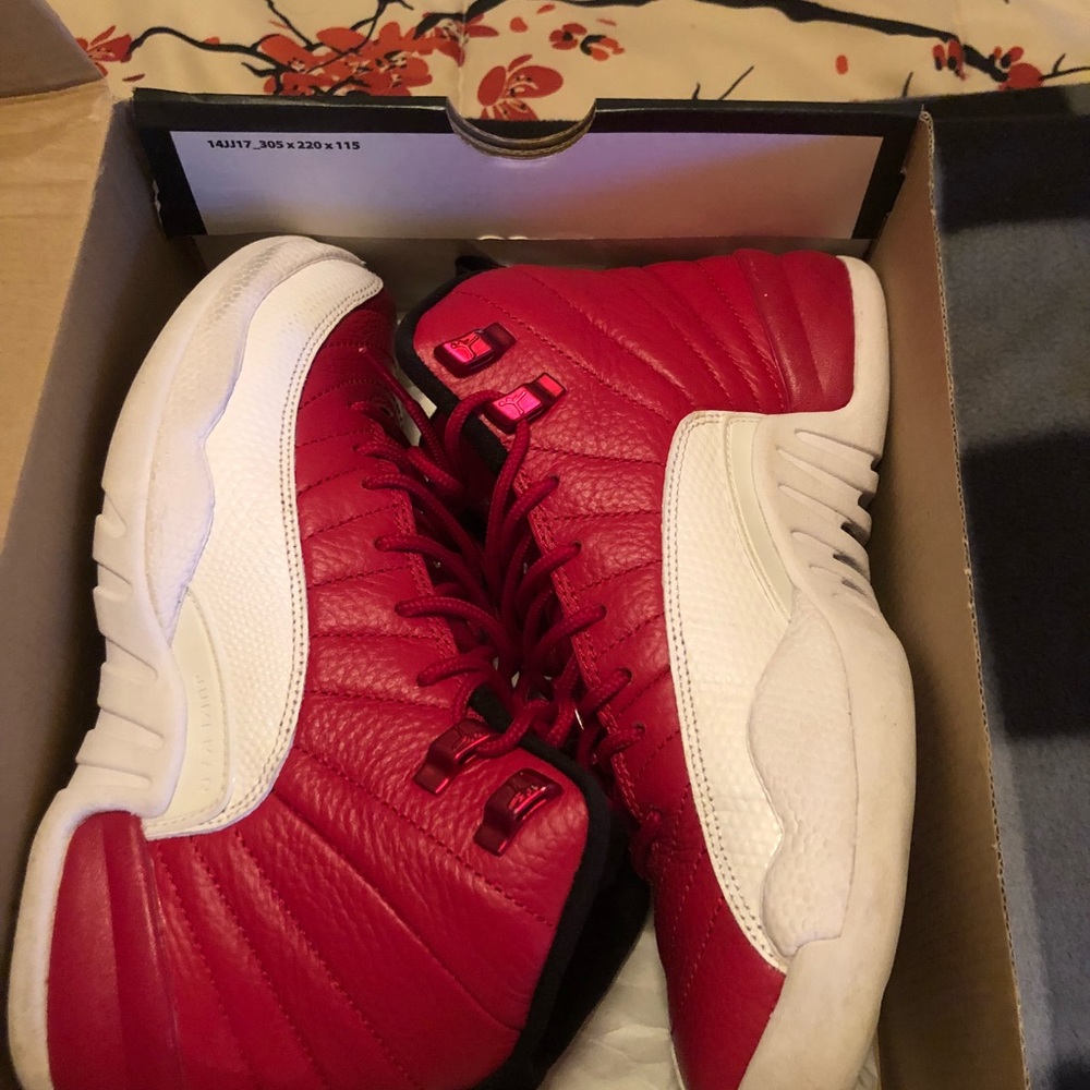 Air Jordan 12’s Retro